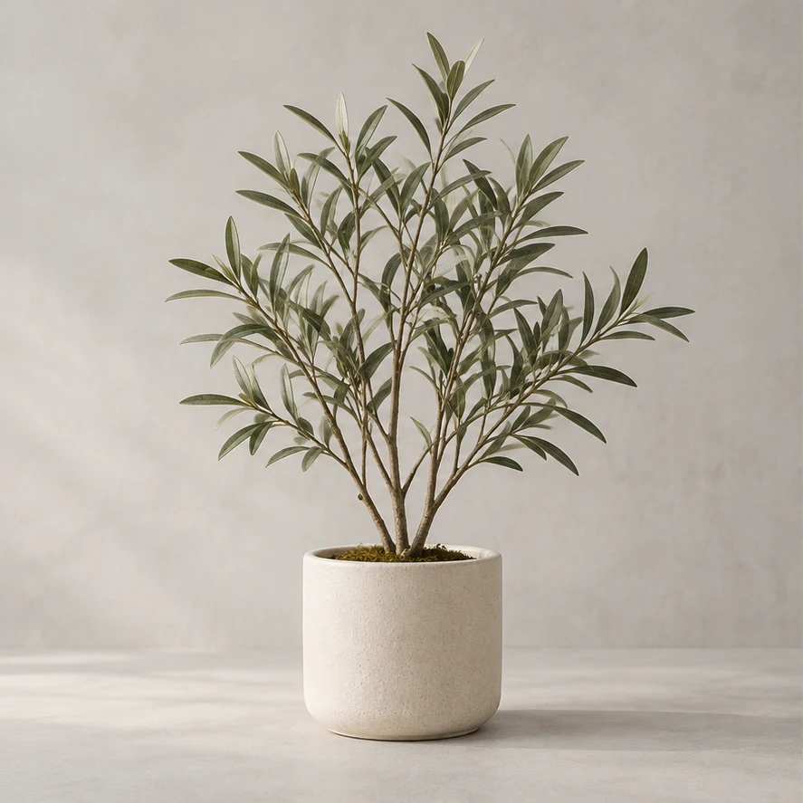 Haku Artificial Olive Sprig in Chalk pot